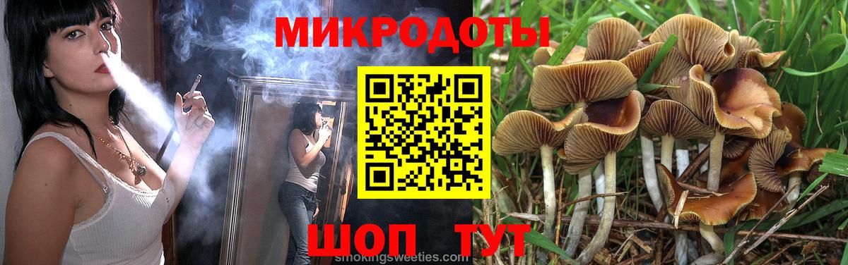 Галлюциногенные грибы Psilocybe Советский